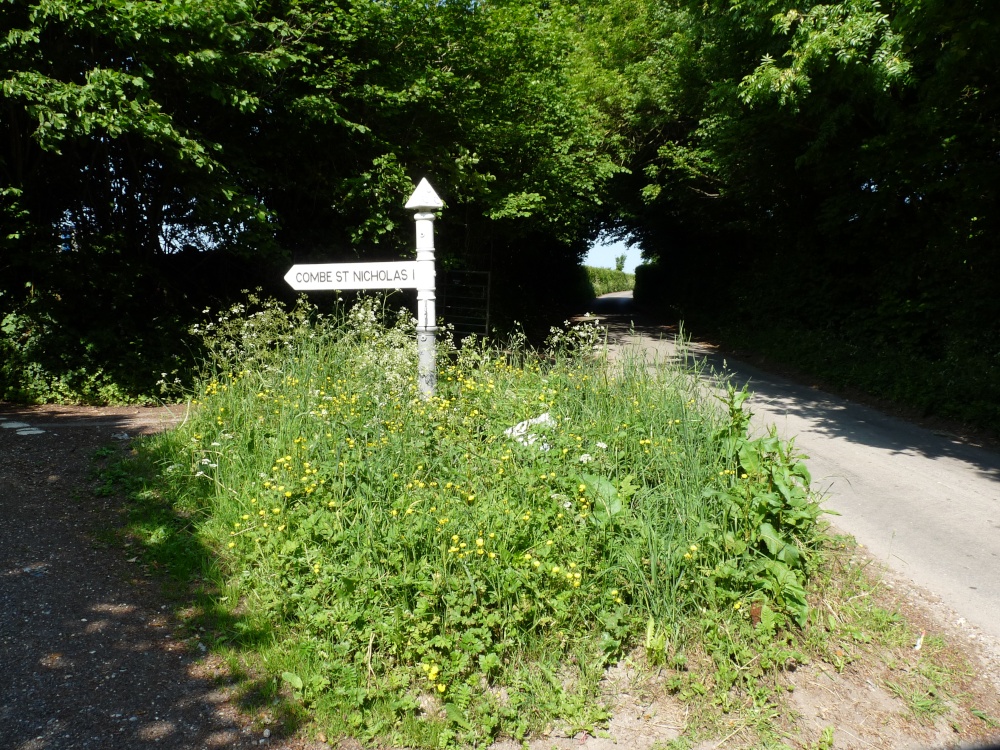 Combe St Nicholas