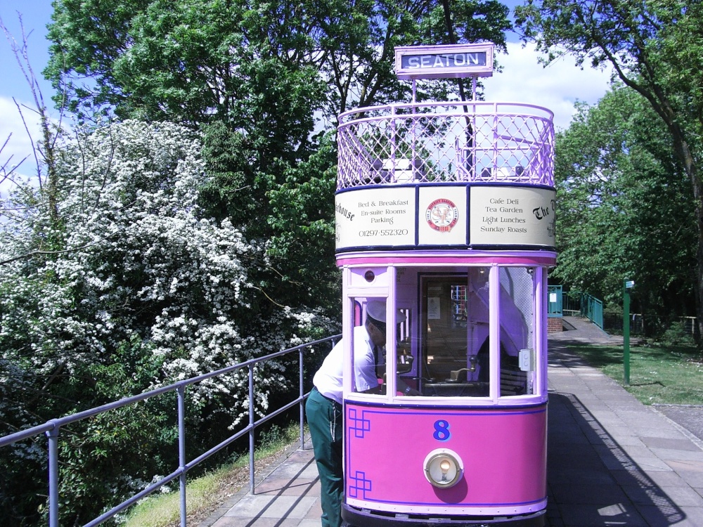 Photograph of Seaton Trams