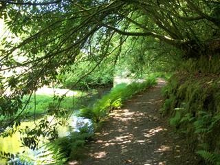 Shady lakeside walk at Trevarno Gardens, Cornwall