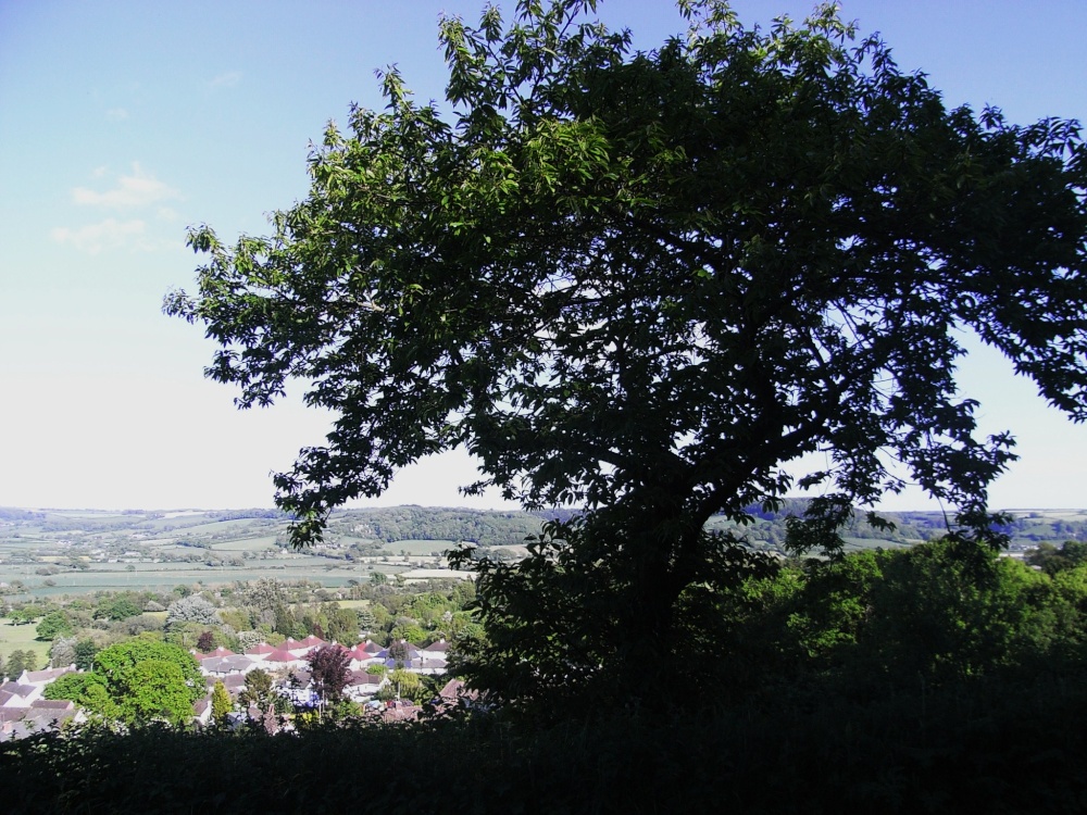View over Colyford