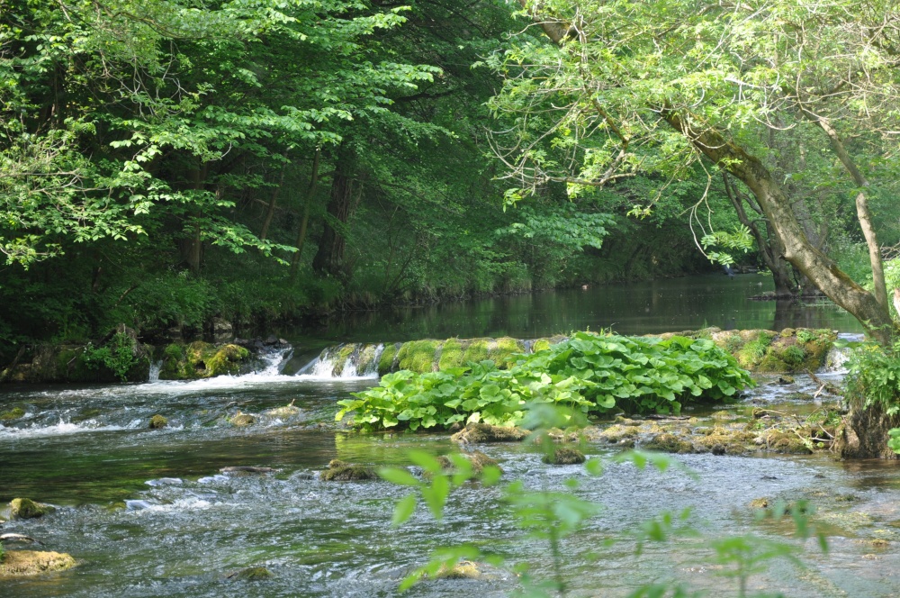River Dove in Dovedale
