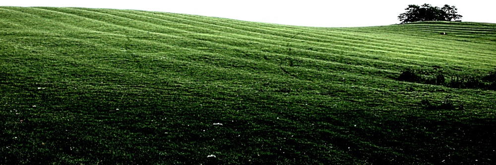 Ridge and Furrow remnants, Spring Hill, Grendon Underwood, Bucks