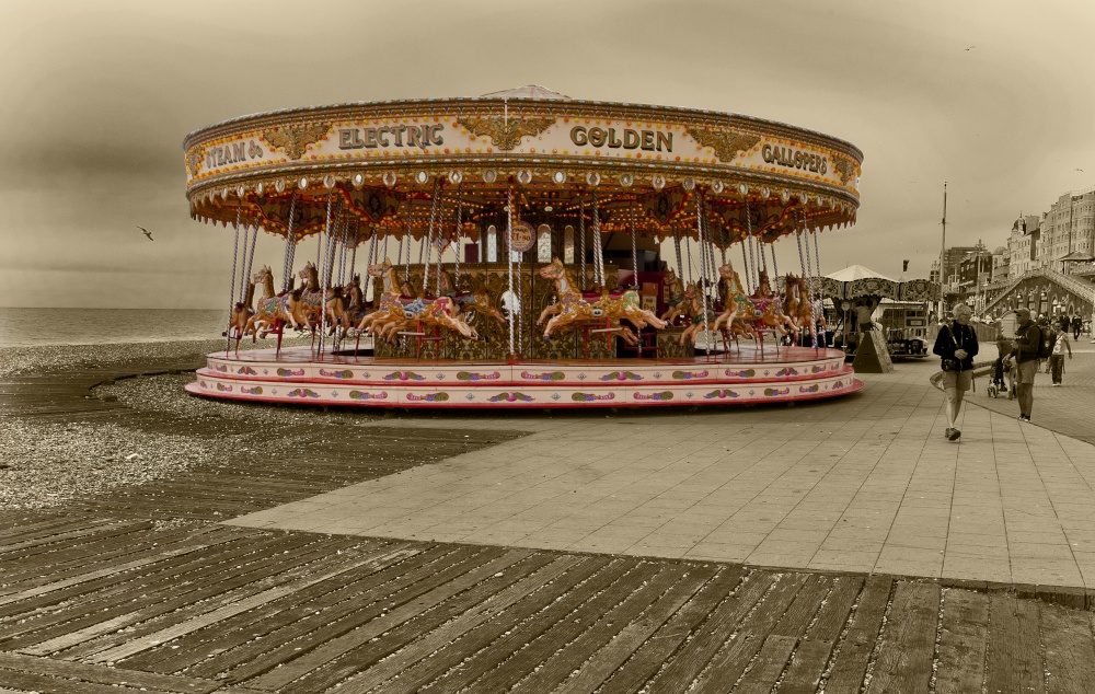 Brightons Golden Gallopers photo by Peter Mcfarlane