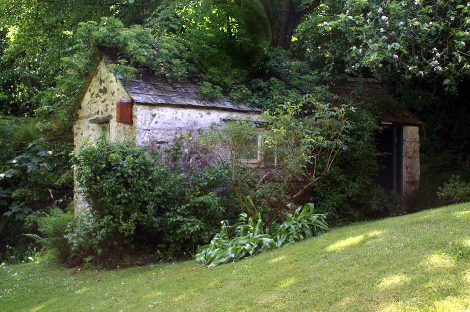 Outhouse in the shade. photo by Peter Evans