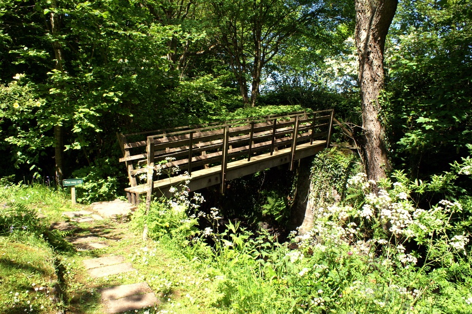 Bridge over a stream. photo by Peter Evans