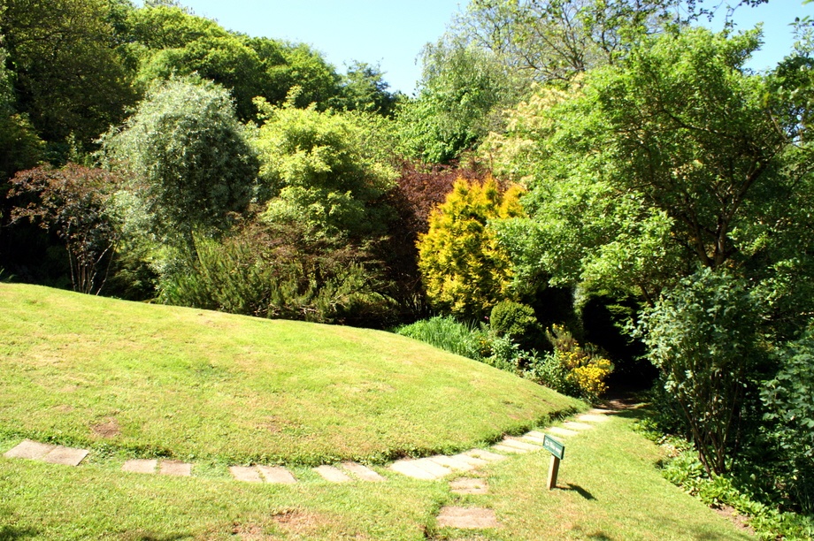 Gardens on a hill. photo by Peter Evans