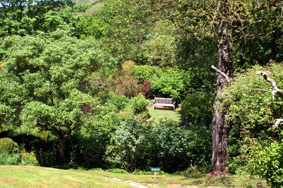 A sunny place to sit. photo by Peter Evans