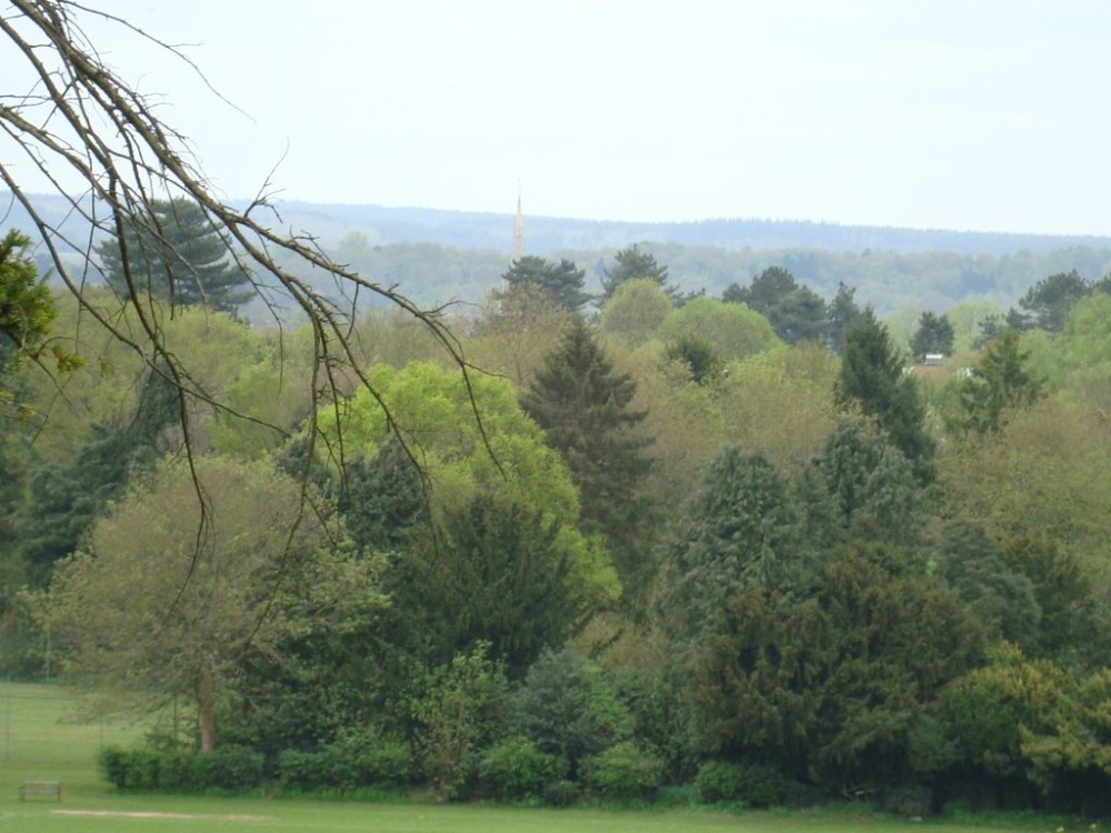 View from Box Hill