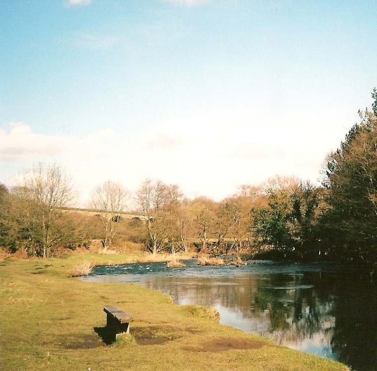 Photograph of Derwent River Rowlands Gill