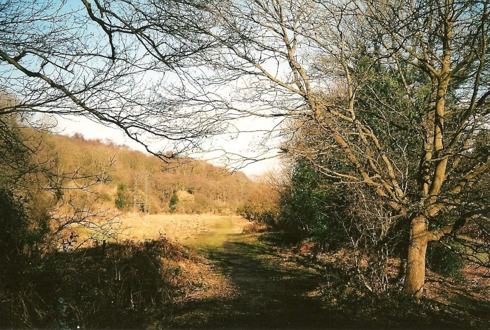 Photograph of February Rowlands Gill
