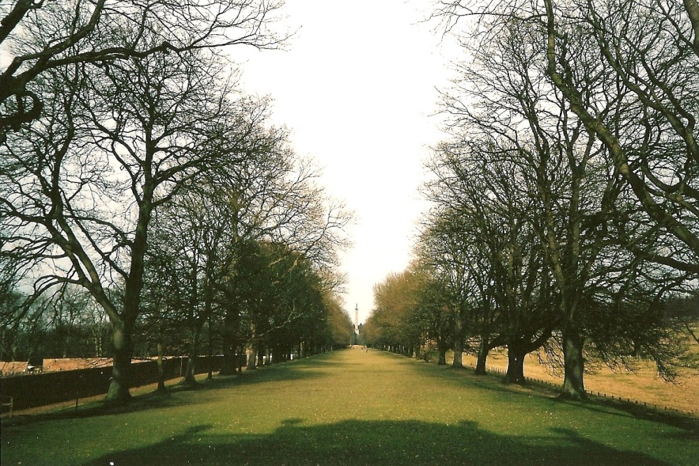 The avenue at Gibside Hall