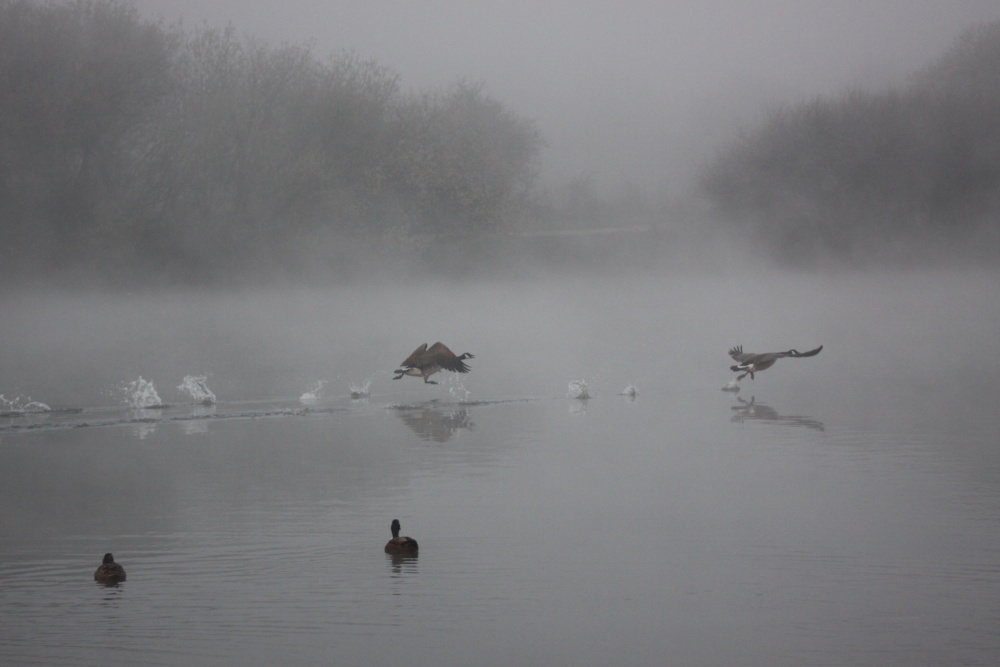 Photograph of Engine RPM increases