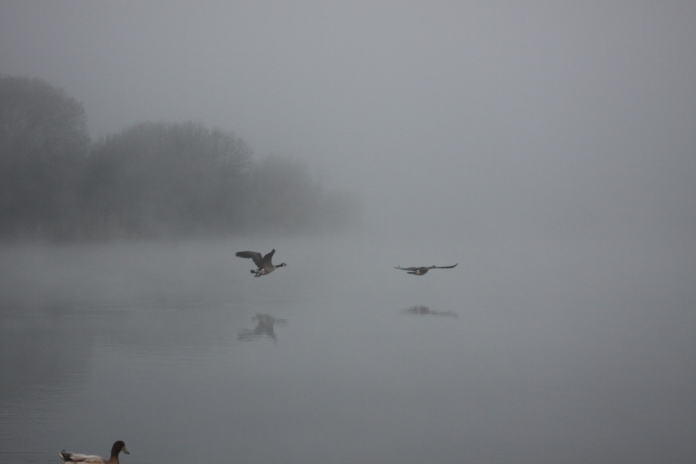 Photograph of Airborne.