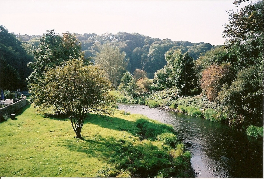 The Derwent River at Lintzford