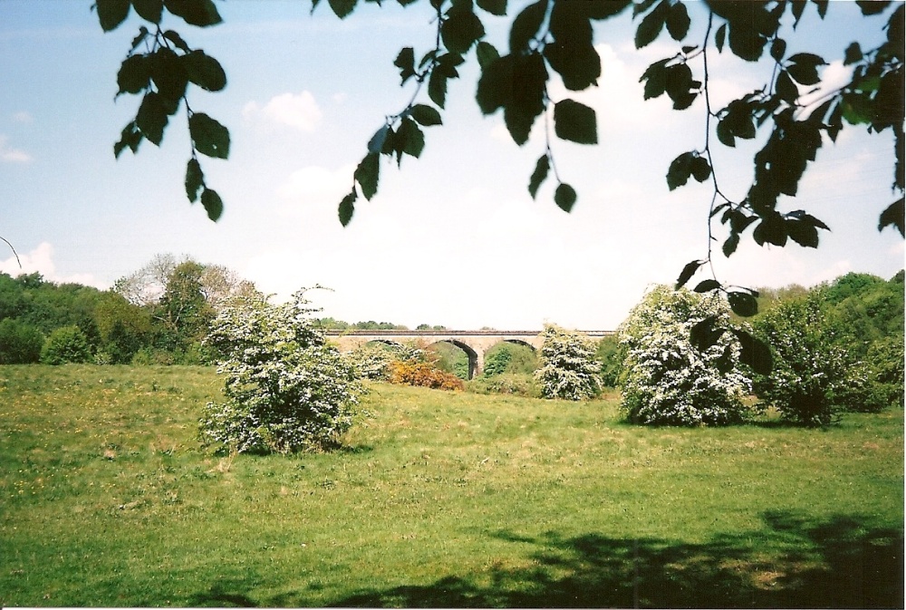 Photograph of Nine Arches, Lockhaugh