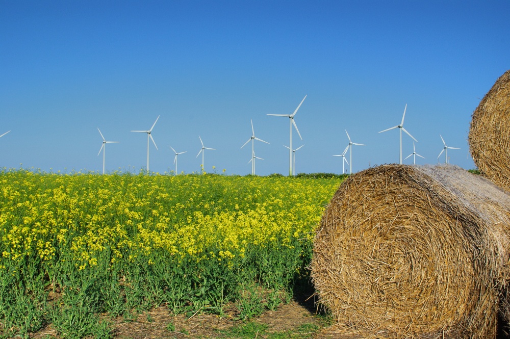Wind farm Mablethorpe