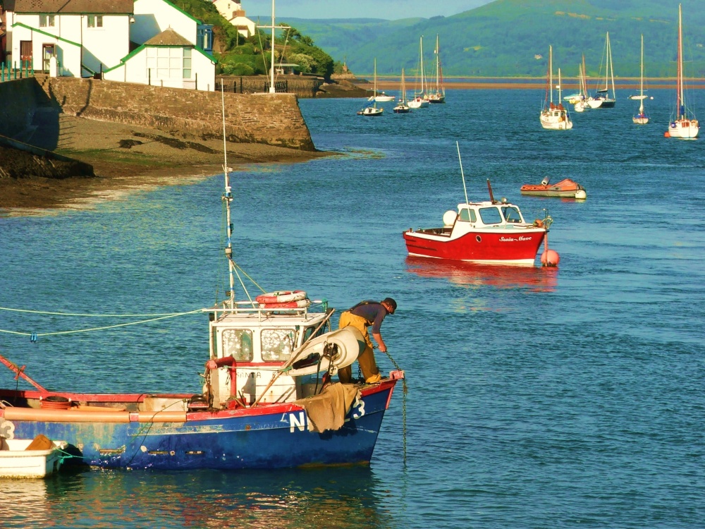 Aberdyfi