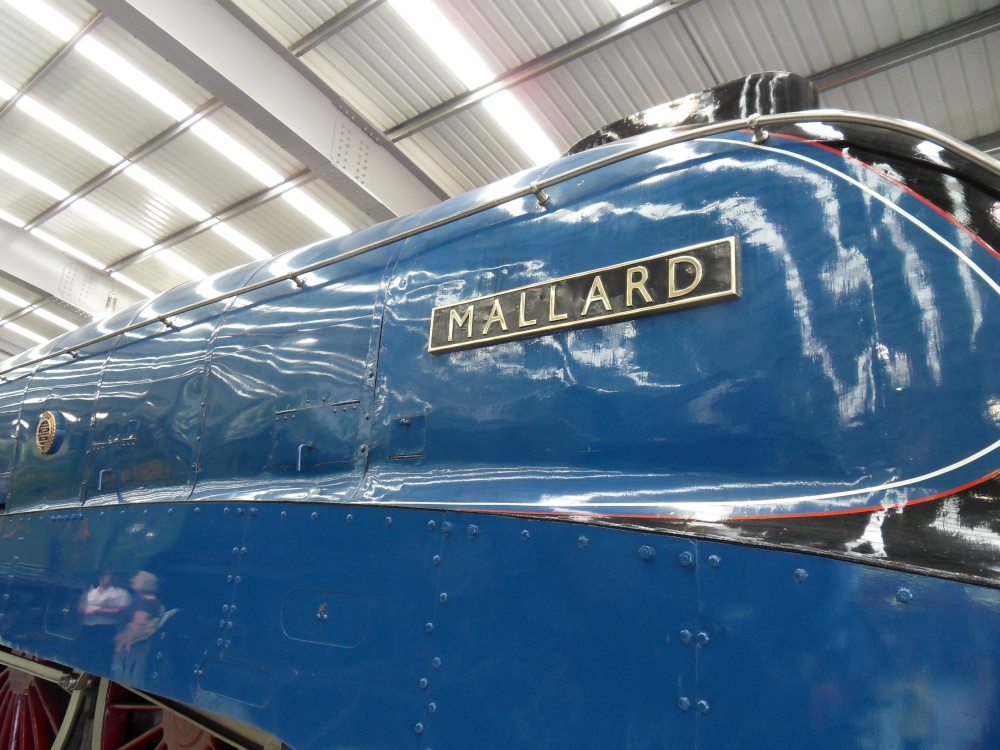 Mallard