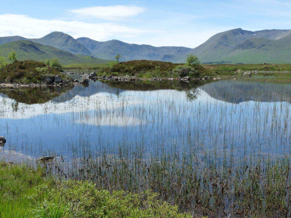 Photograph of Highlands