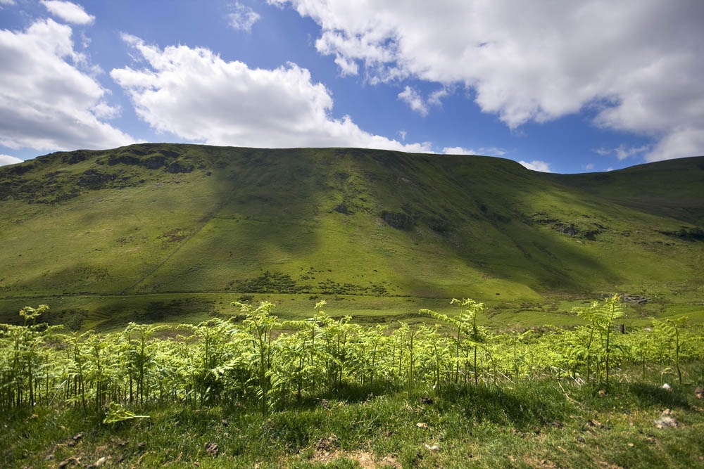 The Berwyn Ridge near Tan y Pistyll