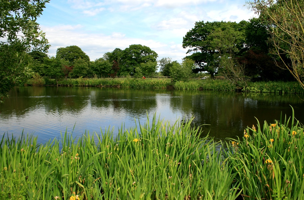 Summer on the Lake at Nidd.