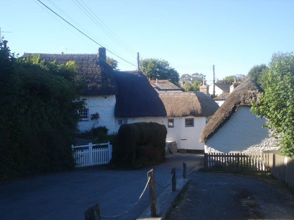 Photograph of Just strolling