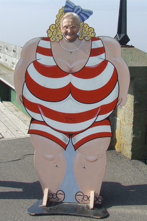 Clevedon Pier. Fun and pleasure for all ages