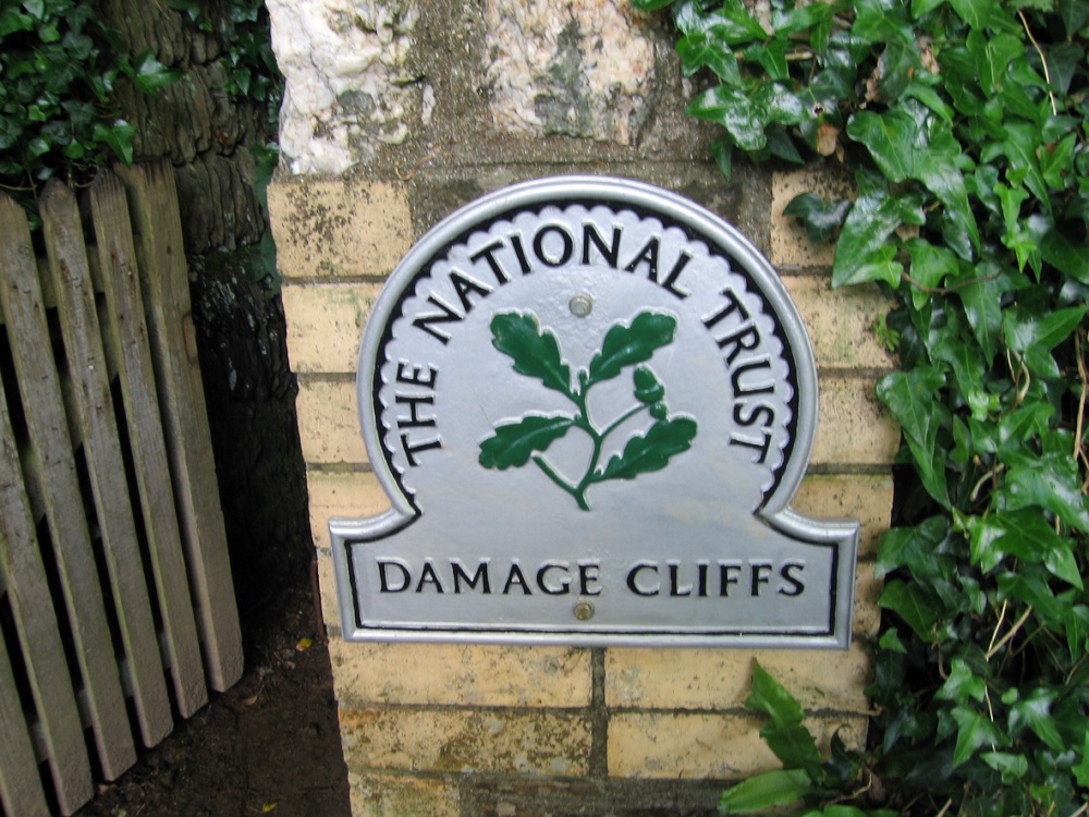 Damage Cliffs