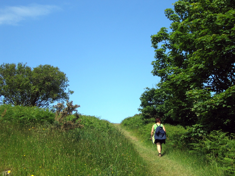 South West Coast path near Lee Bay