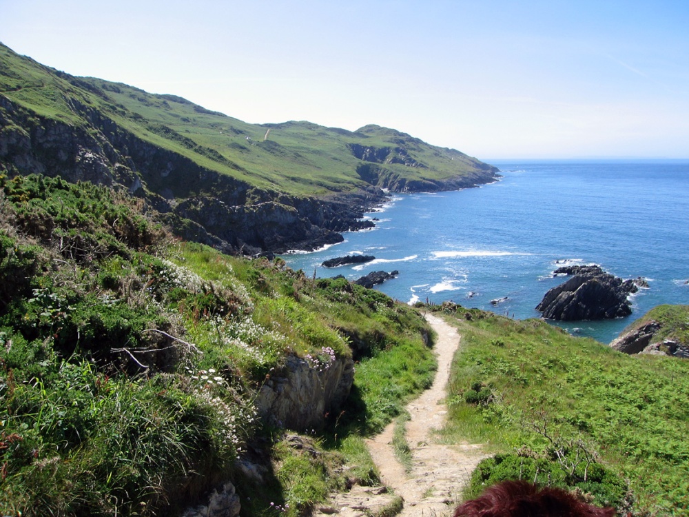 South west coast path from Bull Point to Morte Point