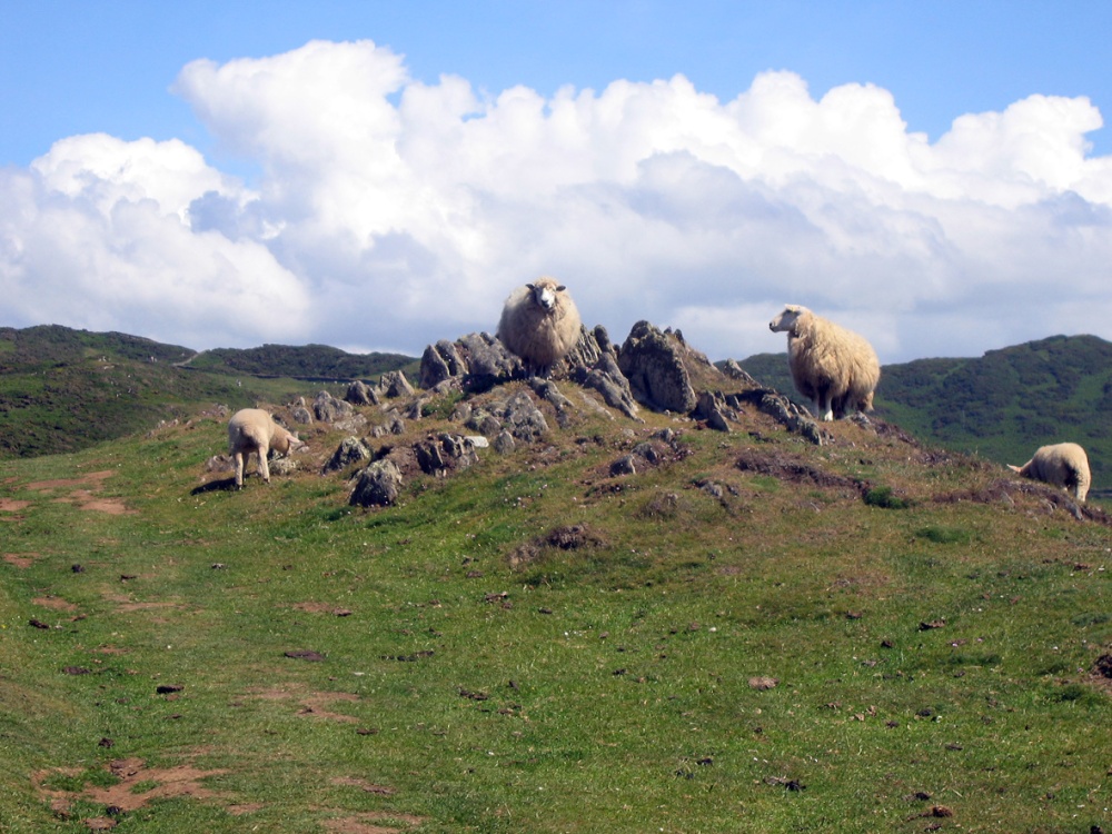 South West Coast path from Morte Point to Woolacoombe