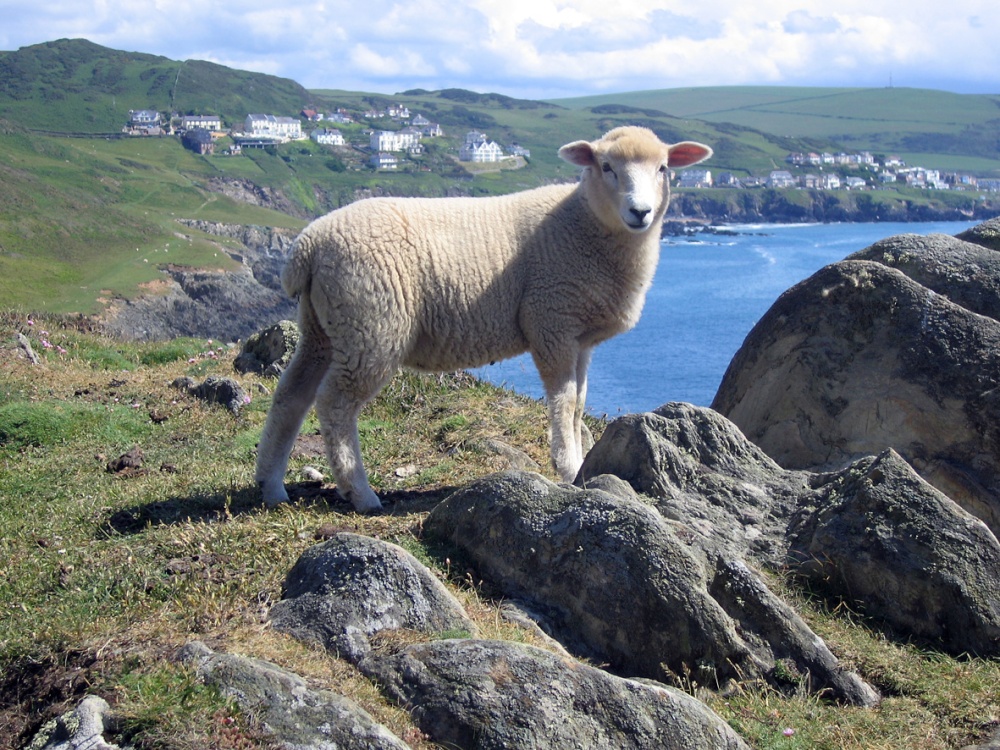 South West Coast path from Morte Point to Woolacoombe