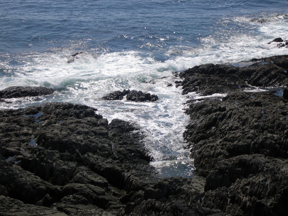 South West Coast path from Morte Point to Woolacoombe