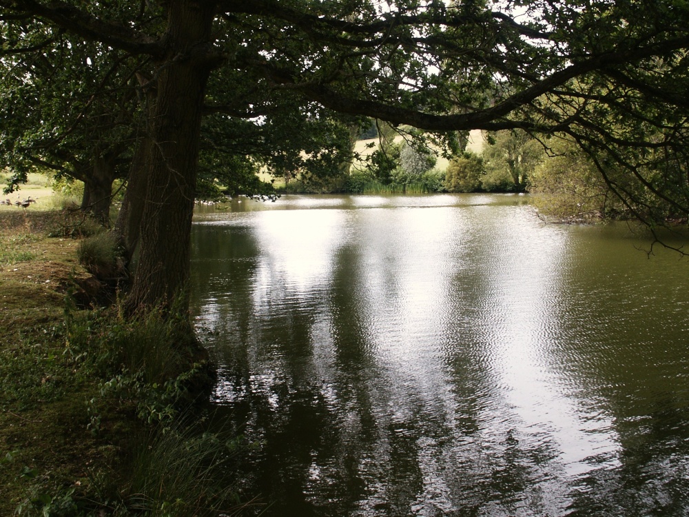 The lake in the grounds of the park.