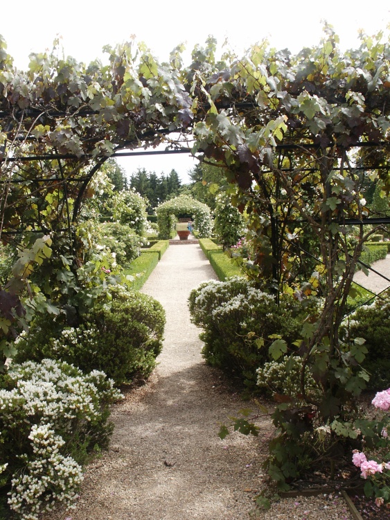 Scene in the walled garden