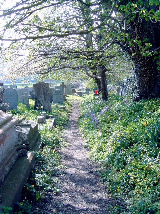 Bishops Tawton churchyard