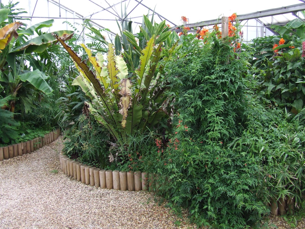 Wye Valley Butterfly Zoo photo by Martin Wall