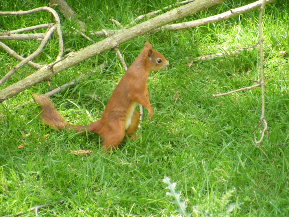 Photograph of What's that over there?