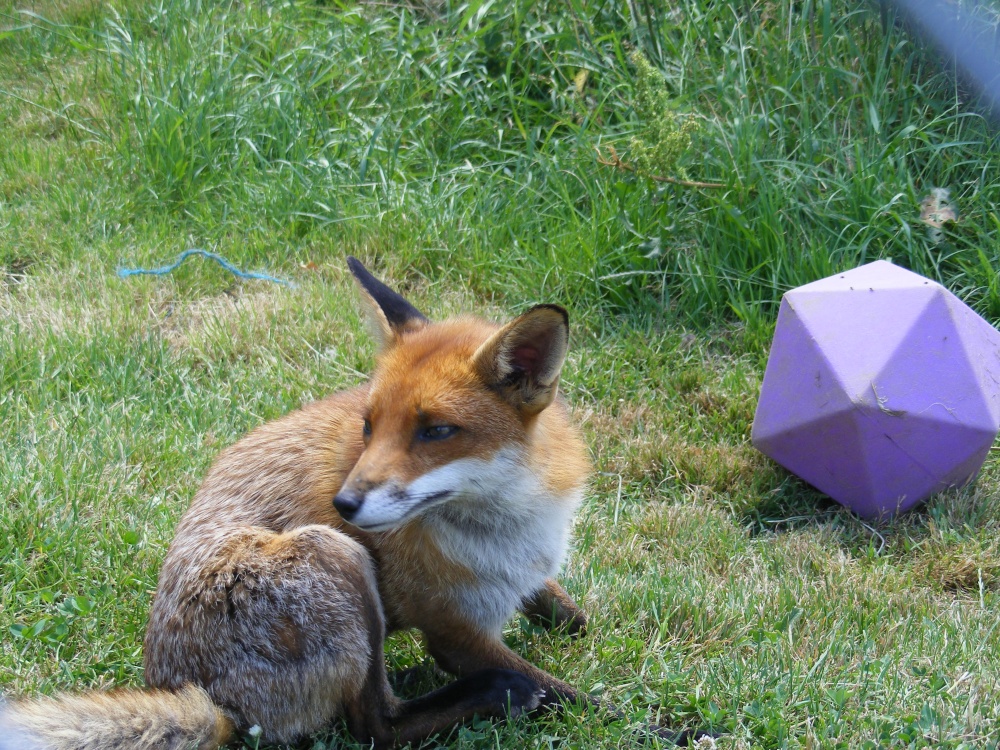 Photograph of What do I do with it again?