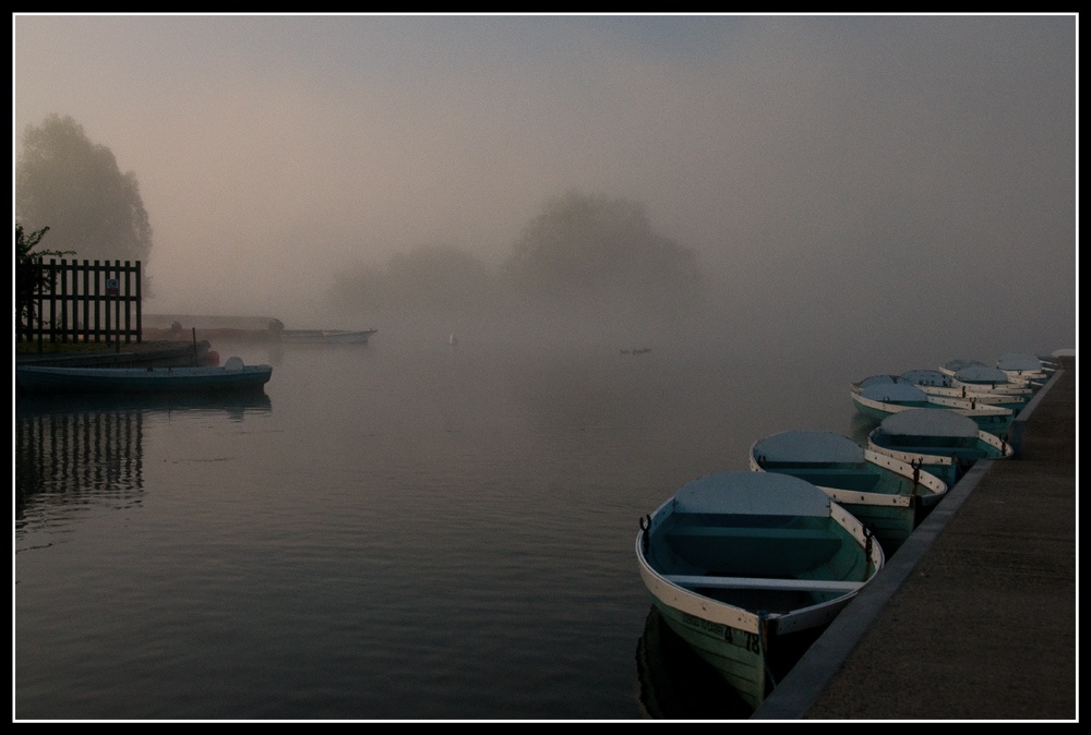 Misty Morning photo by David Venables