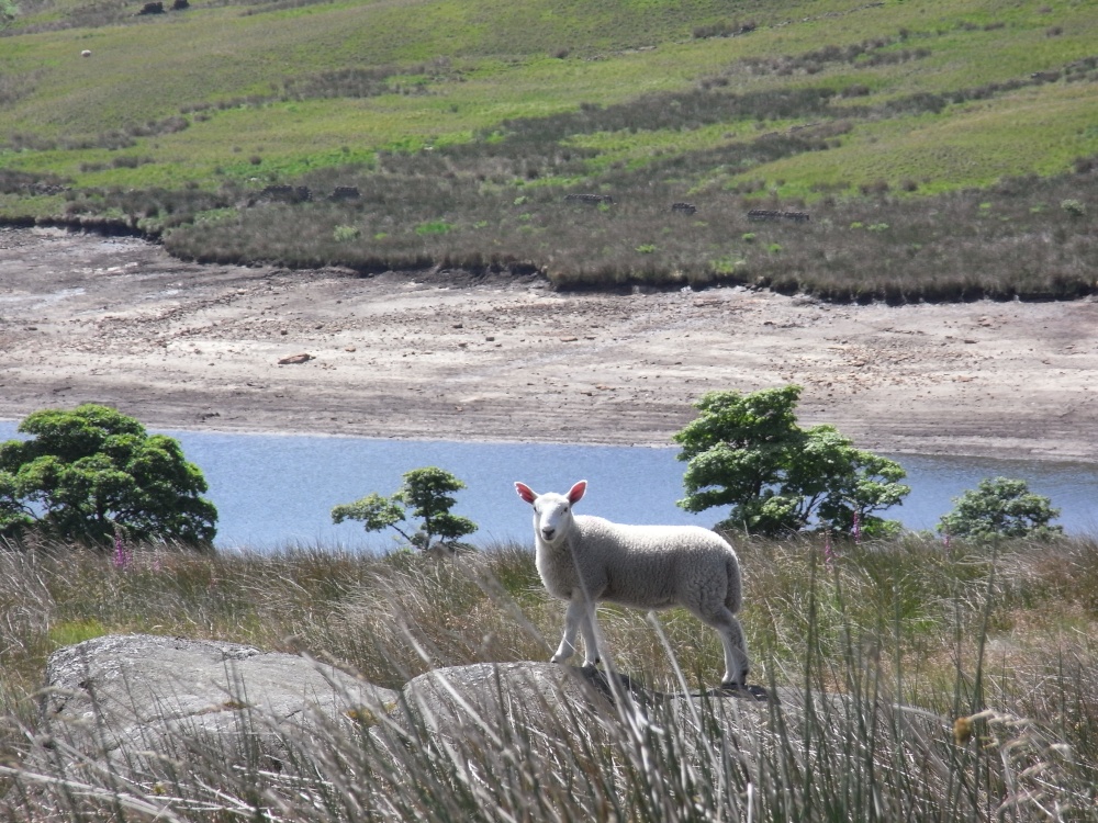 Above the reservoir