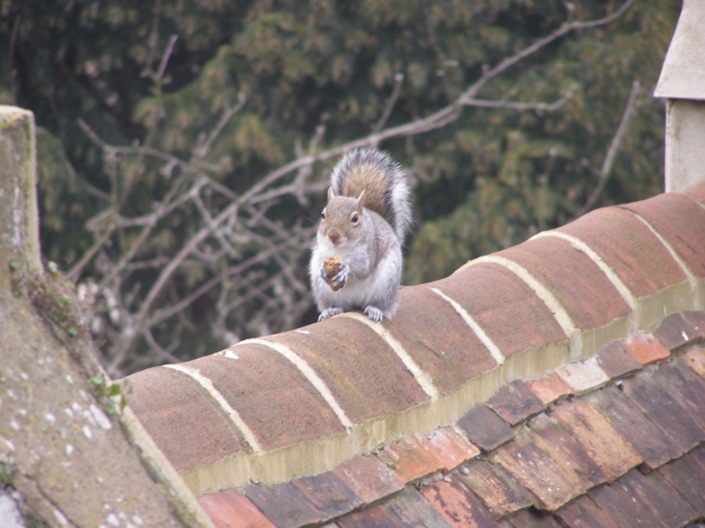Roof top lunch break