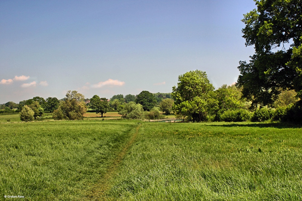 Stour Valley Summer