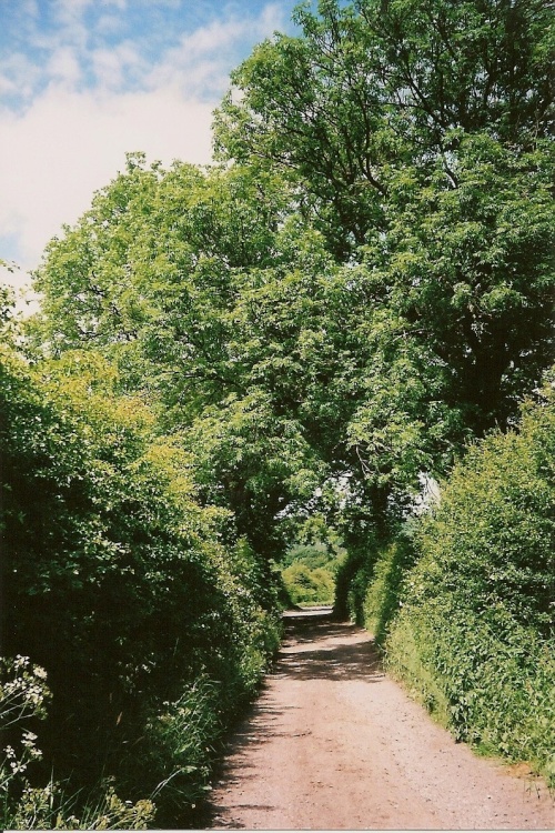 Old Road Lintzford Green
