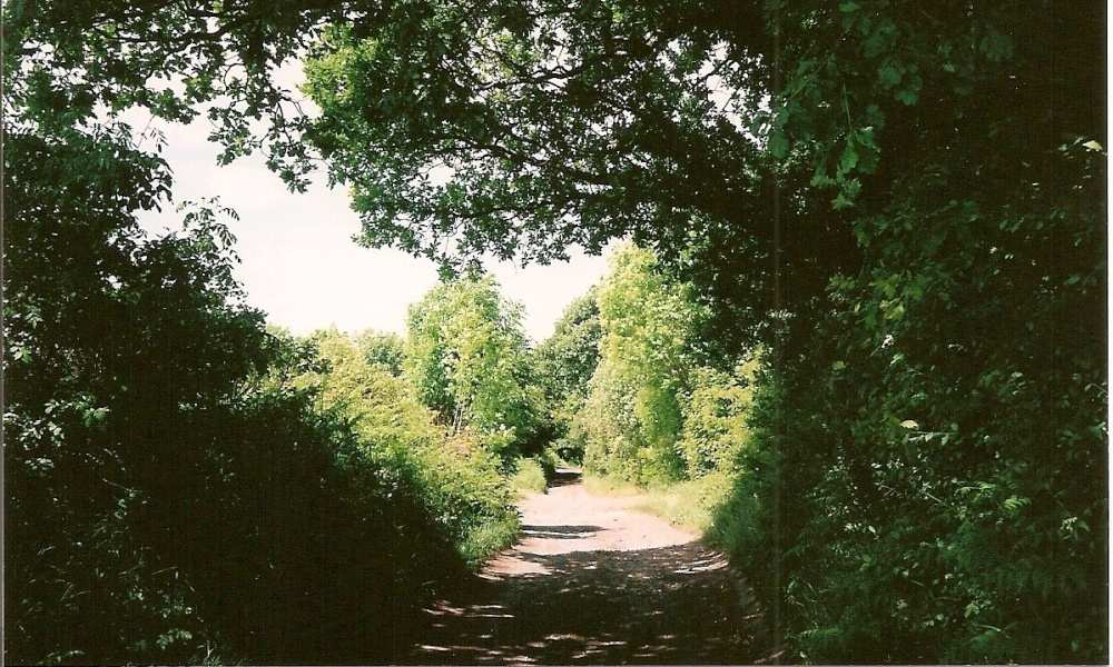 Photograph of Ancient Road, Lintzford Green