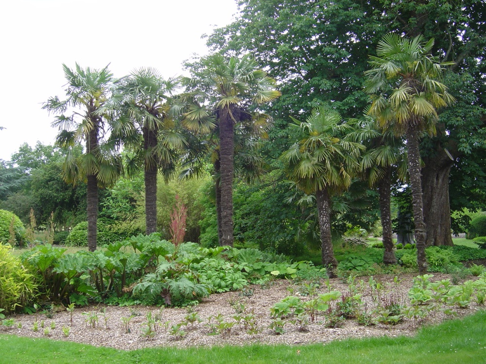 Photograph of West Dean Gardens