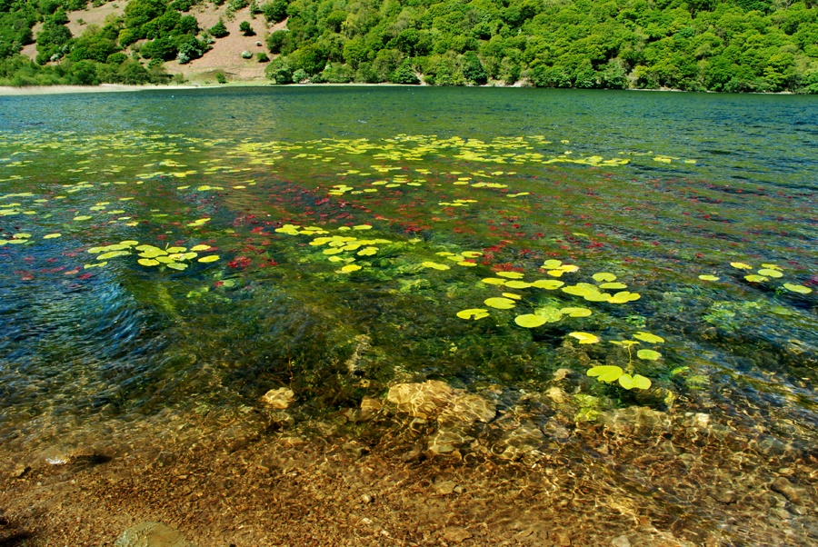 Brothers Water, Hartsop