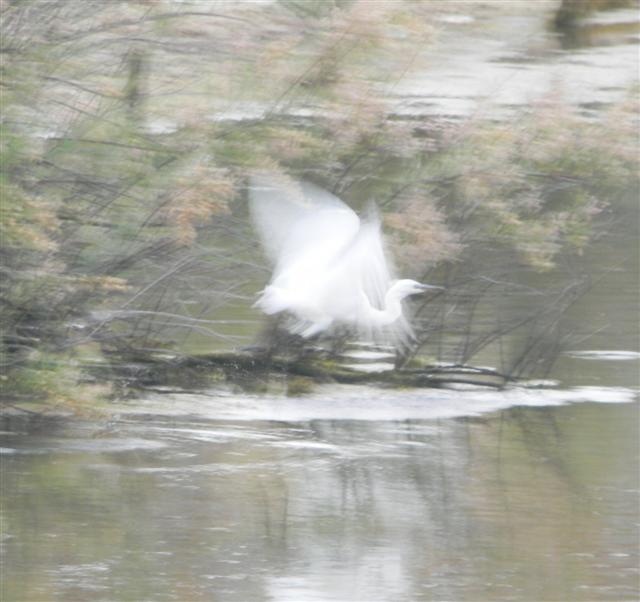 Photograph of Take-off