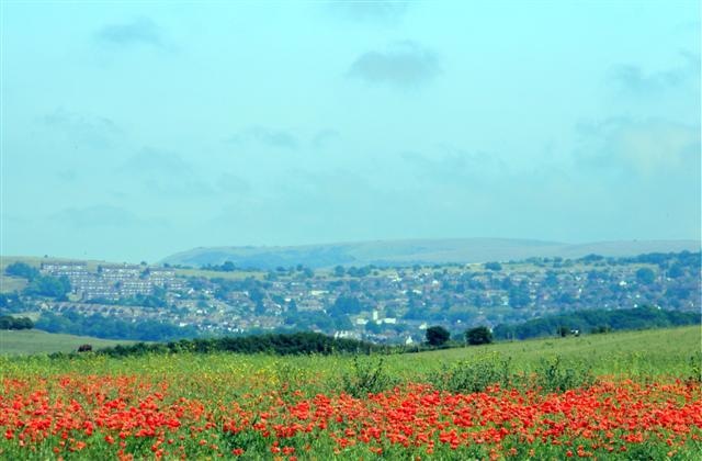 Brighton from the Dyke