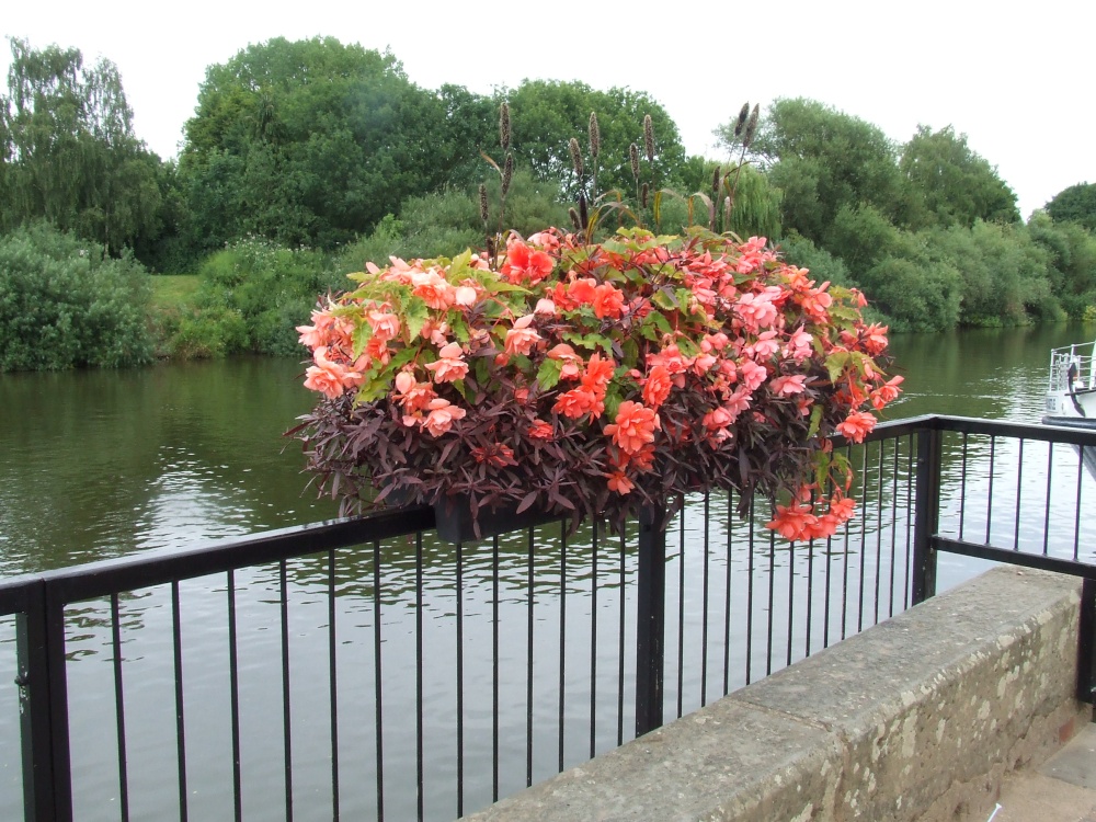 View of the River Severn and flower display